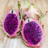 Makisupa Dragon Fruit Cactus (hylocereus polyrhizus)