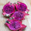 Neon Dragon Fruit Cactus (hylocereus polyrhizus)