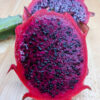 Origional Hawaiian Red Dragon Fruit Cactus (hylocereus polyrhizus)